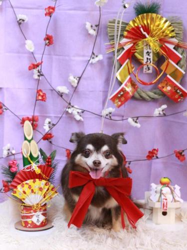 20230111ちゃこちゃん